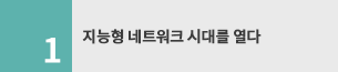지능형 네트워크 시대를 열다